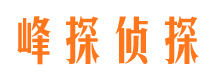 静海市场调查